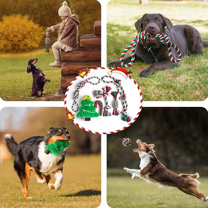 Aitmexcn Dog Rope Toys Set, 7 Pack Cotton Dog Toys for Large Dogs and Medium Small, Cute Interactive Squeaky Toy, Chewing Puppy Gaming Toy for Teeth Cleaning