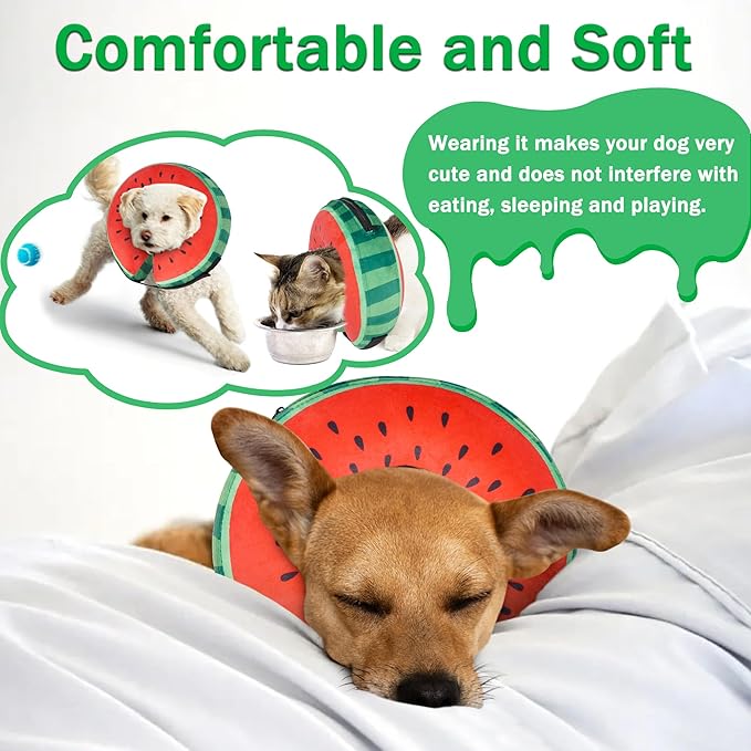 Recovery Donut Collar for Dogs & Cat,Inflatable Dog Collar Alternative After Surgery,Soft Cone for Large Medium Small Pet(Watermelon,Small)