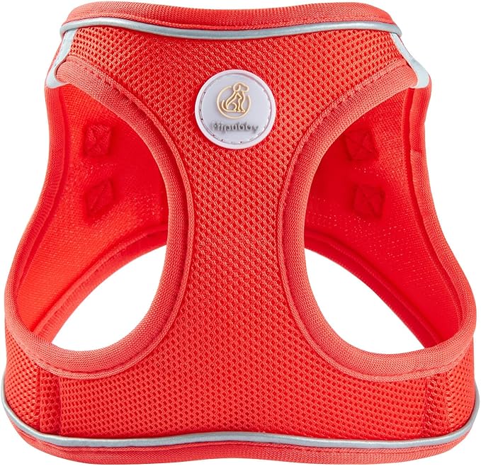 Hipubby Dog Harness and Leash Set, No Pull Soft Mesh Puppy Harness for Small Medium Dogs, Cats - Step in Reflective Breathable Lightweight Vest Harness for Walking, Training - Red, XXS