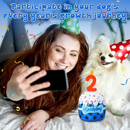 Dog 2nd Birthday Cake Toy Accessories for Girl Boy Gifts, Blue Grid Squeaky Plush Toy for Dog Birthday Party Decor Favor for Large, Medium and Small Dogs