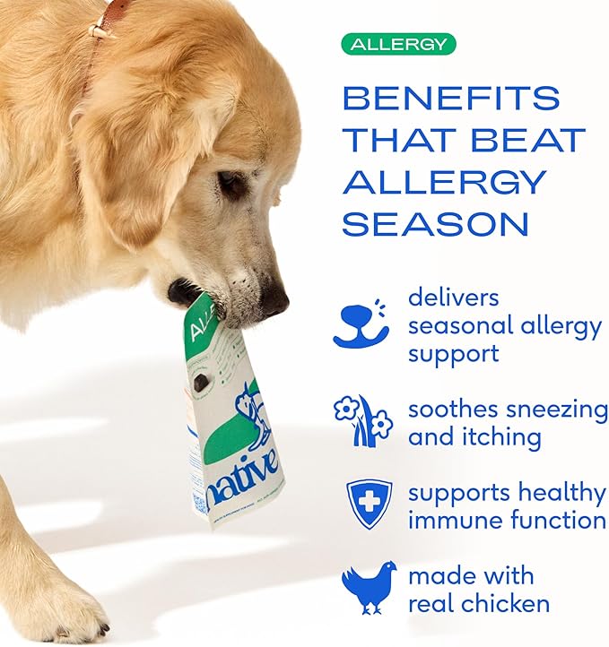 Native Pet Dog Allergy Chews - Dog Allergy Relief with Probiotics and Colostrum for Itchy Skin Relief to Support Seasonal Allergy and Healthy Immune System - All Natural Anti-Histamine - 60 Chews