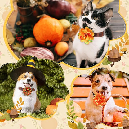 50 Pieces Fall Thanksgiving Dog Collar Flowers Bulk Maple Leaves Dog Charms Grooming Accessories Bow Tie Flower for Pets Cat Collar Attachment Embellishment Autumn Party Costume Photo Props