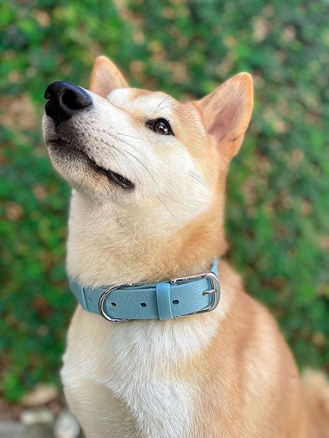 Tuff Pupper Classic Heavy Duty Dog Collar | 10x Stronger Than Leather | 100% Waterproof & Odor Proof Dog Collar | Tough Rust-Proof All Metal Hardware Small (12-15" Neck)