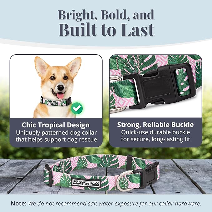 Lucky Love Dog - Adjustable Dog Collar with Easy Click Buckle for Small Dogs, Durable, & Comfortable for Male & Female Dogs, Pet Collar for Puppies & Adult Dogs - Laguna, Small