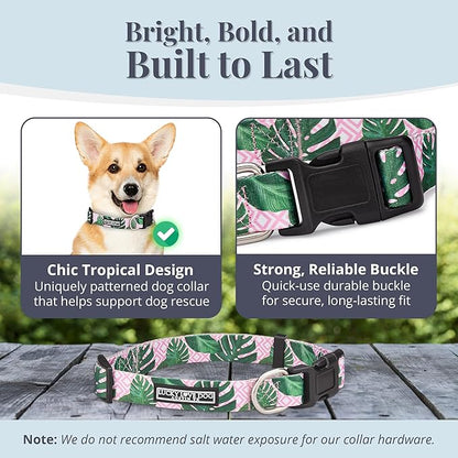Lucky Love Dog - Adjustable Dog Collar with Easy Click Buckle for Small Dogs, Durable, & Comfortable for Male & Female Dogs, Pet Collar for Puppies & Adult Dogs - Laguna, Small