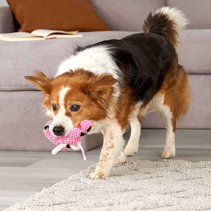 goDog Checkers Just for Me Flying Pig Squeaky Plush Dog Toy with Chew Guard Technology, Durable Fabric & Squeaker for Active Play, Pink, Mini