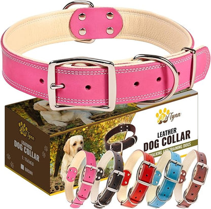 ADITYNA Heavy-Duty Pink Leather Dog Collar for Large Dogs - Lined with Soft Leather - Girl Dog Collar for Walking, Training, and Hiking