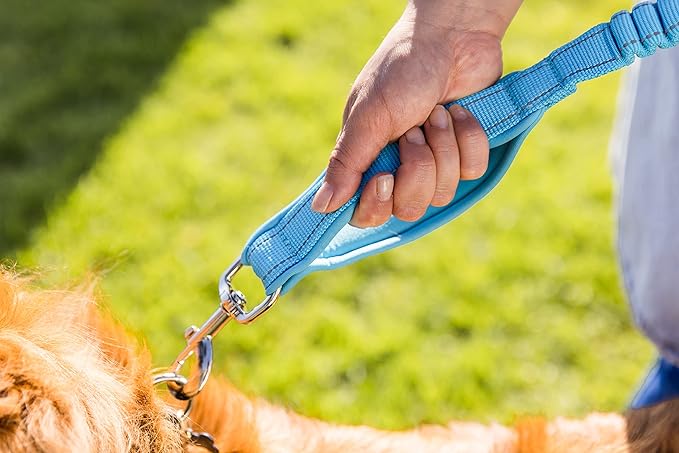 Shed Defender Shock Absorbing Bungee Leash - Three Padded Traffic Handles, Designed in The USA, Stretches 4-7ft, Elastic Dog Leash, Reflective Stitching, Large Dog & Small Breed, Heavy Duty, Pink