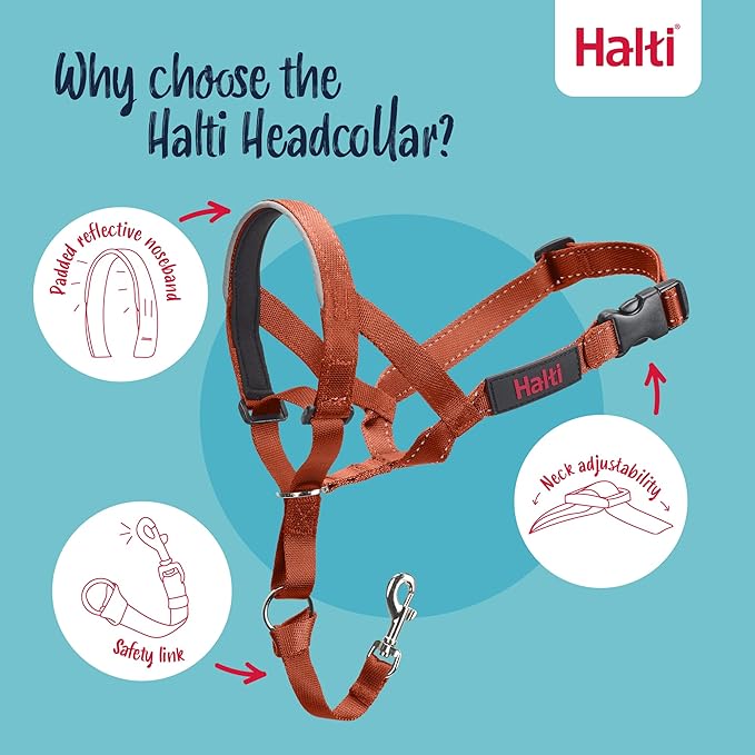 Halti Headcollar - Stop Your Dog Pulling on The Leash. Adjustable, Reflective and Lightweight, with Padded Nose Band. Dog Training Anti-Pull Collar for Large Dogs (Size 4, Burnt Orange)