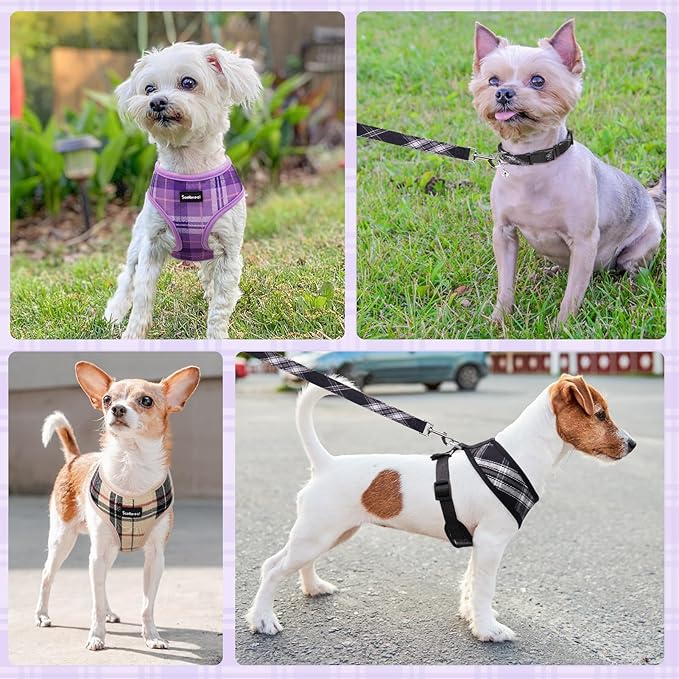SCENEREAL No Pull Dog Harness Collar and Leash Set Small Medium Sized Dog, Soft Mesh Step in Puppy Harnesses, No Chock Plaid Adjustable Pet Vest for Outdoor Walking Training and Running, Black M