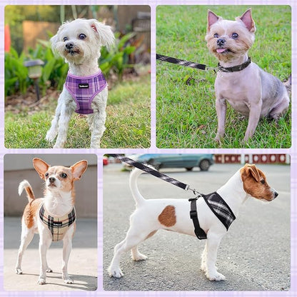 SCENEREAL No Pull Dog Harness Collar and Leash Set Small Medium Sized Dog, Soft Mesh Step in Puppy Harnesses, No Chock Plaid Adjustable Pet Vest for Outdoor Walking Training and Running, Black M