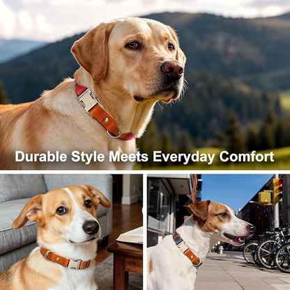 Plutus Pet Genuine Leather & Hemp Dog Collar – Adjustable Heavy Duty Pet Collar with Quick Release Metal Buckle, Soft & Stylish for Puppy and Small, Medium, Large Dogs (Ash Brown, L)