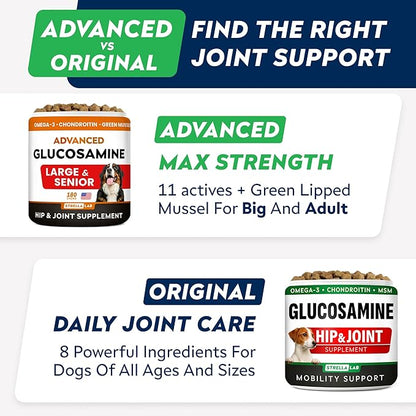 Advanced Glucosamine Chondroitin Joint Supplement for Dogs - Hip & Joint Pain Relief Pills - Green Lipped Mussel & Collagen - Large & Small Breed - Senior Dogs Joint Health - Bacon Flavor - 180ct