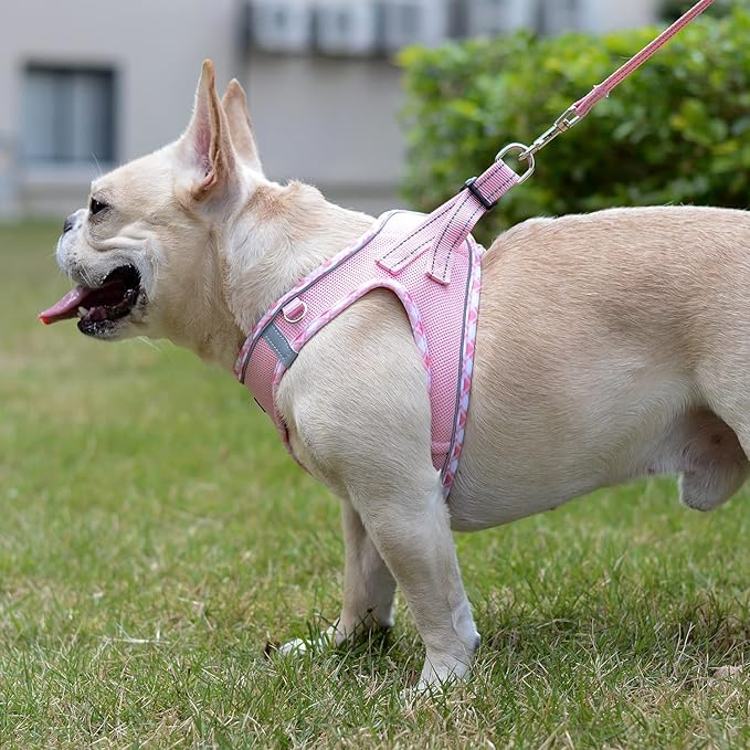 Mercano Soft Mesh Dog Harness and Leash Set, No-Chock Step-in Reflective Breathable Lightweight Easy Walk Vest Harnesses with Safety Buckle for Small Dogs, Cats (Pink, XS)