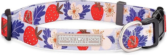 Lucky Love Dog - Adjustable Dog Collar with Easy Click Buckle for Small to Large Ones, Durable, & Comfortable for Male & Female Dogs, Pet Collar for Puppies & Adult Dogs - Sweet Berry, Extra Small