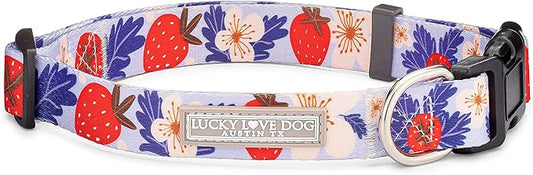 Lucky Love Dog - Adjustable Dog Collar with Easy Click Buckle for Small to Large Ones, Durable, & Comfortable for Male & Female Dogs, Pet Collar for Puppies & Adult Dogs - Sweet Berry, Extra Small