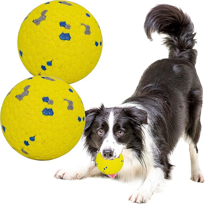 LIEVUIKEN Dog Balls Toys for Aggressive Chewers, Indestructible Durable Bouncy Floating Balls for Dogs to Fetch, Durable Solid Rubber Ball for Training Dog(2 Pack)