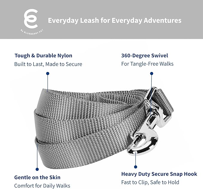 Blueberry Pet Essentials Flint Gray Dog Leash for Small -5' * 5/8" Dogs | Heavy Duty Nylon Lead | Lightweight Puppy & Cat Leash for Walking & Training