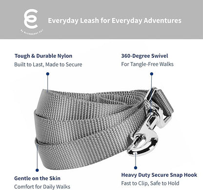 Blueberry Pet Essentials Flint Gray Dog Leash for Small -5' * 5/8" Dogs | Heavy Duty Nylon Lead | Lightweight Puppy & Cat Leash for Walking & Training