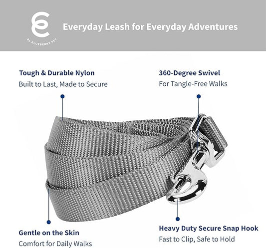 Blueberry Pet Essentials Flint Gray Dog Leash for Large - 4' * 1" Dogs | Heavy Duty Nylon Lead | Lightweight Puppy & Cat Leash for Walking & Training