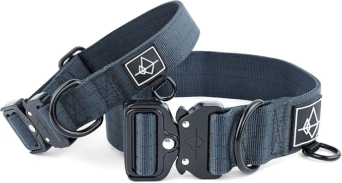 Made to ROAM Premium Dog Collar - Adjustable Heavy Duty Nylon Collar with Quick-Release Metal Buckle (Colorado Nightsky, Classic Size 2)