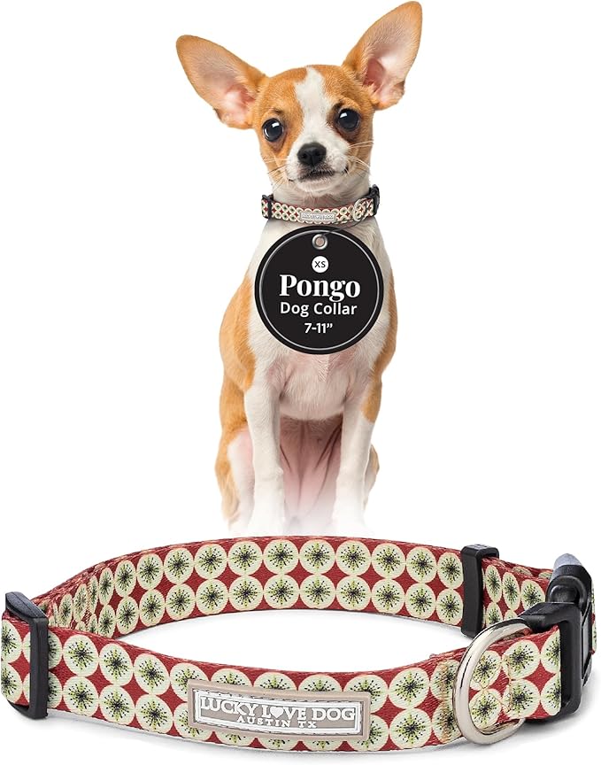 Lucky Love Dog - Adjustable Dog Collar with Easy Click Buckle for Small Ones, Durable, & Comfortable for Male & Female Dogs, Pet Collar for Puppies & Adult Dogs - Pongo, XS