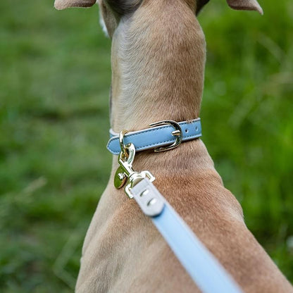 NINA WOOF Leather Dog Leash - Slim Leash with Reinforced Hardware, European Design, Blue, 4ft