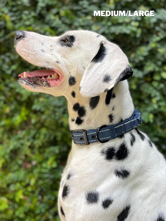 Tuff Pupper Heavy Duty Dog Collar with Handle | Ballistic Nylon Heavy Duty Collar | Padded Reflective Dog Collar with Adjustable Stainless Steel Hardware | Convenient Sizing for All Breeds