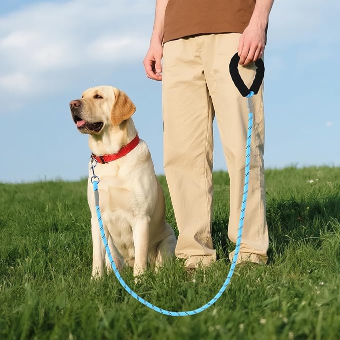 Mile High Life Reflective Dog Leash, with Comfortable Padded Handle, Blue Nylon Rope Leash with Steel Tips, Heavy Duty 4 Feet Pet Leashes (Blue,60 Inches)