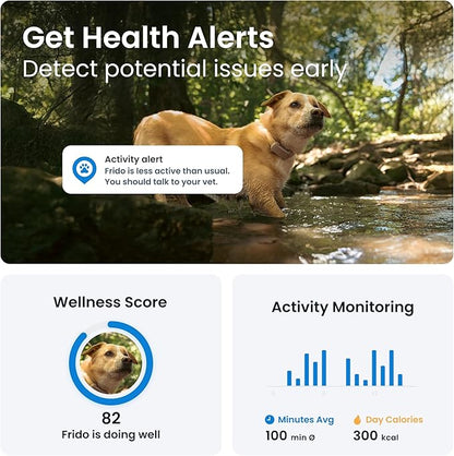Tractive GPS Dog Tracker (2025 Release) Real-time Pet Location Tracker | Health & Wellness Alerts | Virtual Fence for Dogs | Bark Monitoring (Brown w/Olive Cover)