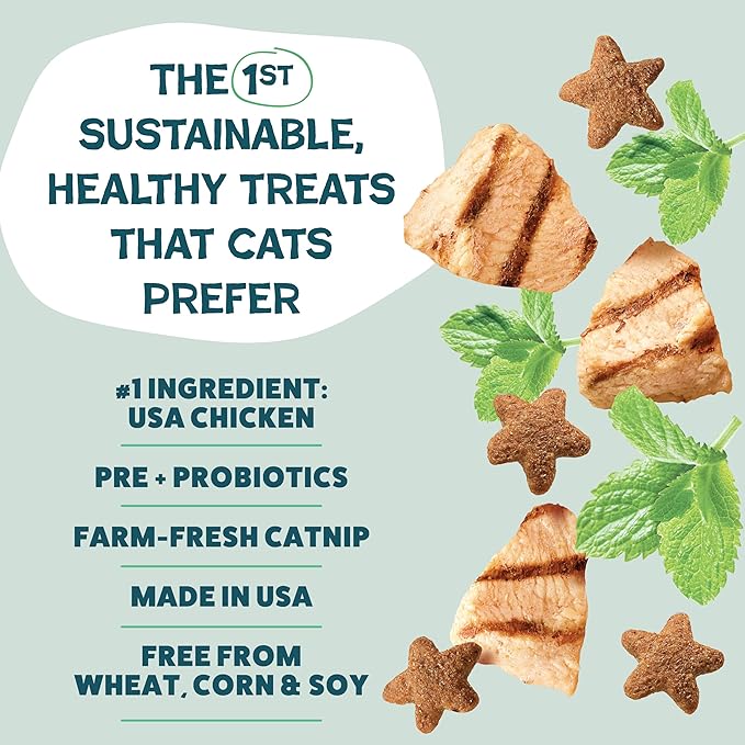 Shameless Pets Crunchy Cat Snacks & Treats – Healthy Cat Treats for Indoor Cats & Kittens with Catnip, Real Chicken & Digestive Support, Catnip N Chill (12 oz)
