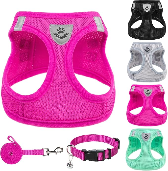 PUPTECK Adjustable Dog Harness Collar and Leash Set Step in No Pull Pet Harness for Small Medium Dogs Puppy and Cats Outdoor Walking Running, Soft Mesh Padded Reflective Vest Harnesses, Solid Pink XL