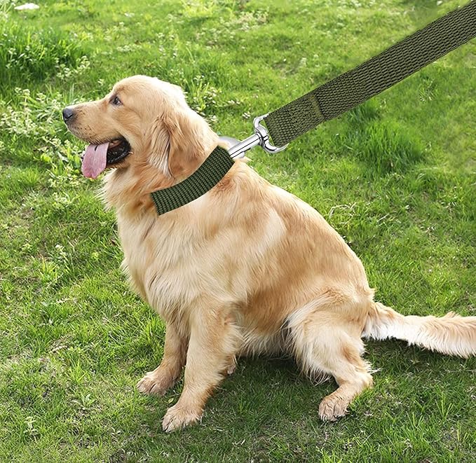 TAIAN 4FT/5FT/6FT Strong Dog Leash, Nylon Dog Leashes for Small Medium Large Dogs (Green, 1 in x 10 ft)