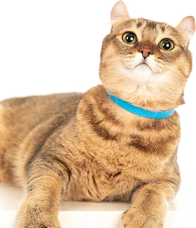 Nuvuq Breakaway Cat Collar - Soft, Comfortable, and Lightweight Safety Buckle Collar with ID Tag Ring for Outdoor Cats and Sensitive Skin Kittens (6 ⅞" to 10 ¼", Blue)