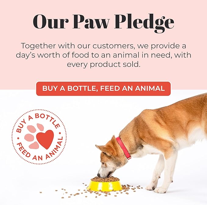 Skout’s Honor Probiotic Natural Dog Shampoo and Conditioner with Avocado Oil & Omega-3s, Gentle Puppy Shampoo, Hydrating Dog Conditioner, 97% Natural, Paraben & Sulfate-Free, Cruelty-Free, 16 oz