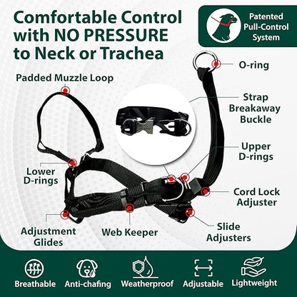 Sporn Head Halter for Dogs - Large Dog Halter, Gentle No-Pull Dog Collar with Padded Nose Strap - Comfortable Anti-Pull Control for Extreme Pullers - Attaches to Leash & Converts to Standard Collar