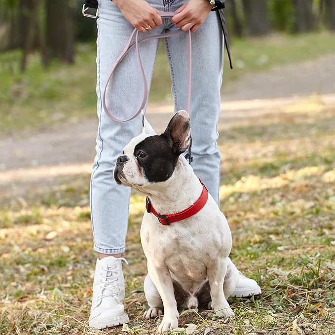 Dogline Biothane Waterproof Dog Leash Strong Coated Nylon Webbing with Black Hardware Odor-Proof Easy to Clean High Performance for Small or Large Dogs Made in USA 4 or 6 ft Lead, Pastel Purple