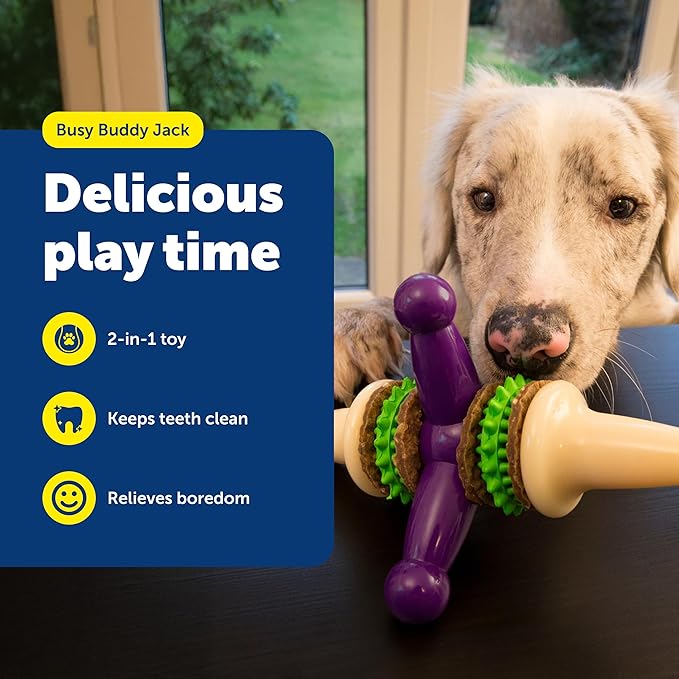 PetSafe Busy Buddy Jack - Keeps Dog Busy - Includes Treats Refill - Treat Holding Dog Toy - Helps Clean Teeth - Durable Rubber - Strong Chewers - Dishwasher Safe - Medium - Purple