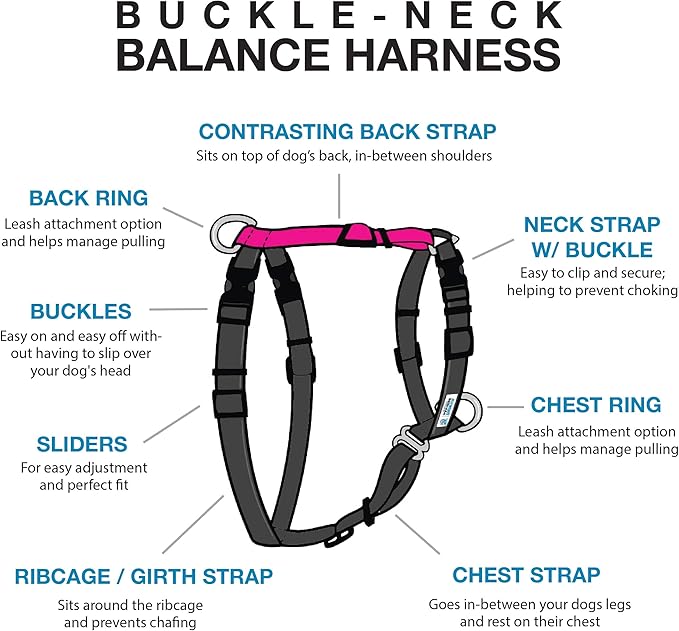 Blue-9 Buckle-Neck Balance Harness, Fully Customizable Fit No-Pull Harness, Ideal for Dog Training and Obedience, Made in The USA, Hot Pink, Small