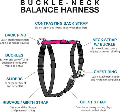 Blue-9 Buckle-Neck Balance Harness, Fully Customizable Fit No-Pull Harness, Ideal for Dog Training and Obedience, Made in The USA, Hot Pink, Small