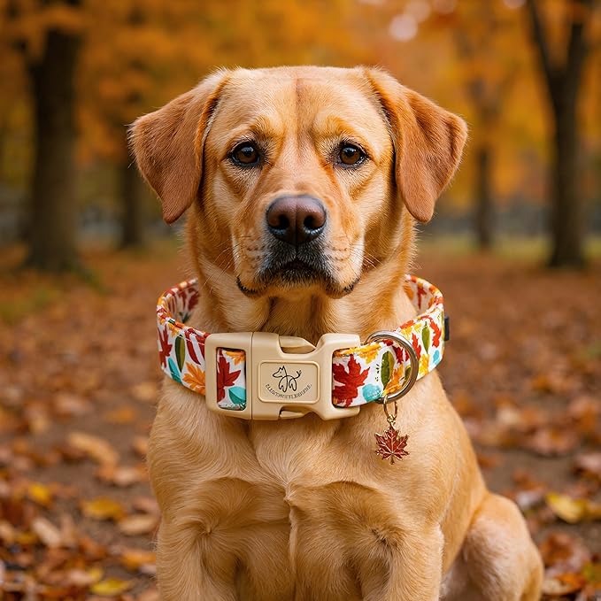 Elegant little tail Fall Dog Collar, Fall Maple Leaf Print Autumn Pet Collars Dog Cotton Soft Sturdy Puppy Collars Holiday Female Adjustable Collar for Small Dogs