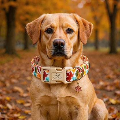 Elegant little tail Fall Dog Collar, Fall Maple Leaf Print Autumn Pet Collars Dog Cotton Soft Sturdy Puppy Collars Holiday Female Adjustable Collar for Small Dogs