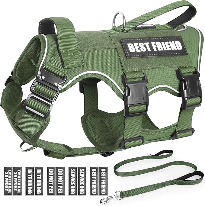 Service Dog in Training Vest and Leash Set with 10 Patches,Heavy Duty Tactical Dog Harness with Metal Buckles for Medium Sized Dogs,No Pull Easy Walking for Training Working Hiking,Green M