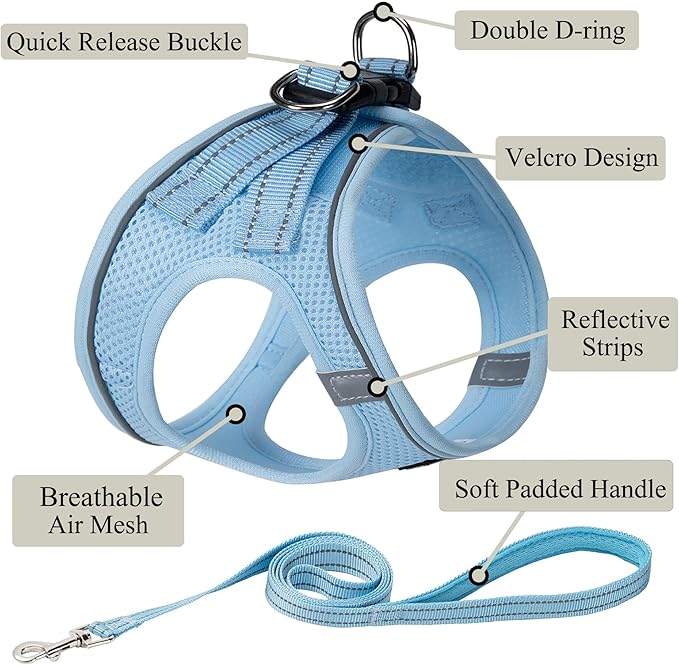 Dog Harness with Leash Set, No Pull Adjustable Reflective Step-in Puppy Pet Vest Harnesses for Small Medium Large Dogs and Cats,Sky Blue L