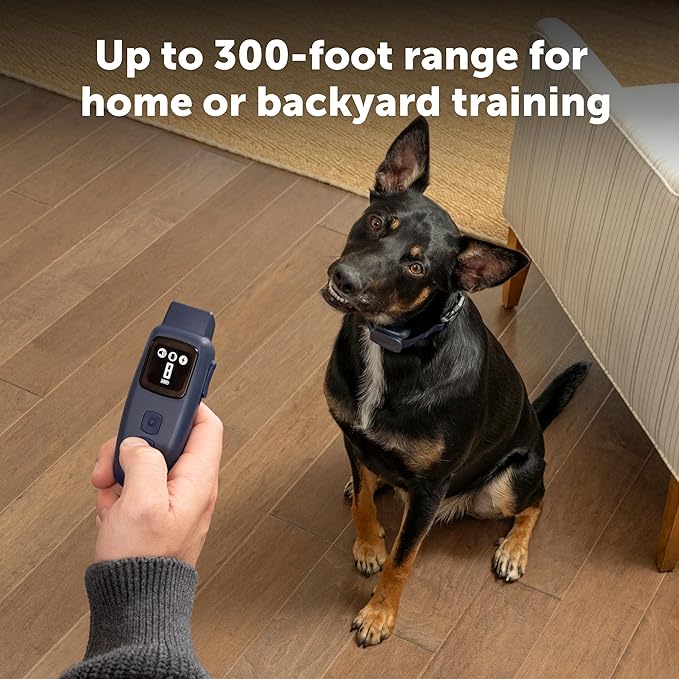 PetSafe Basic Dog Trainer with Remote - Effective Dog Training - 15 Levels of Static Correction - Waterproof Collar - Rechargeable Training Collar - Compact Remote Transmitter