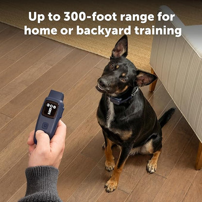 PetSafe Basic Dog Trainer with Remote - Effective Dog Training - 15 Levels of Static Correction - Waterproof Collar - Rechargeable Training Collar - Compact Remote Transmitter