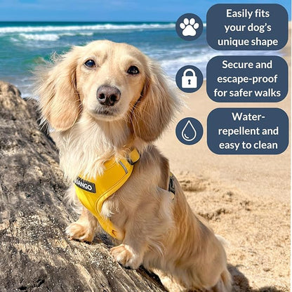 DJANGO Adventure Dog Harness - Stylish Medium Dog Harness for Outdoor Adventures and Everyday Wear - Dandelion Yellow Neoprene Adjustable Harness for Dogs with Reflective Piping and Solid Brass D-ring