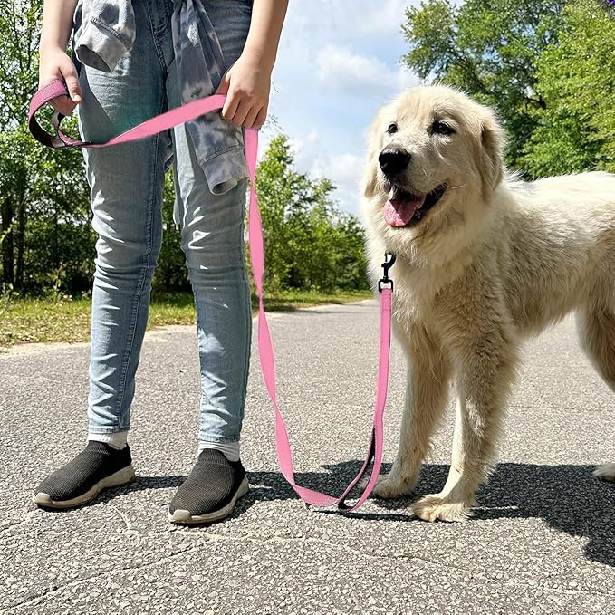 Joytale Dog Leash Heavy Duty for Large Dogs That Pull, Double Handle for Traffic Control, Double-Sided Reflective Leashes for Large Medium Dogs Night Safety, 5FT, Pink