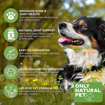 Only Natural Pet Hemp Hip & Joint Support for Dogs - Supplement for Mobility Wellness Pain Relief Healthy Inflammatory & Bone Stiffness - Chews w/Fatty Acid Blend Mussels & Turmeric - 60-Ct (2-Packs)