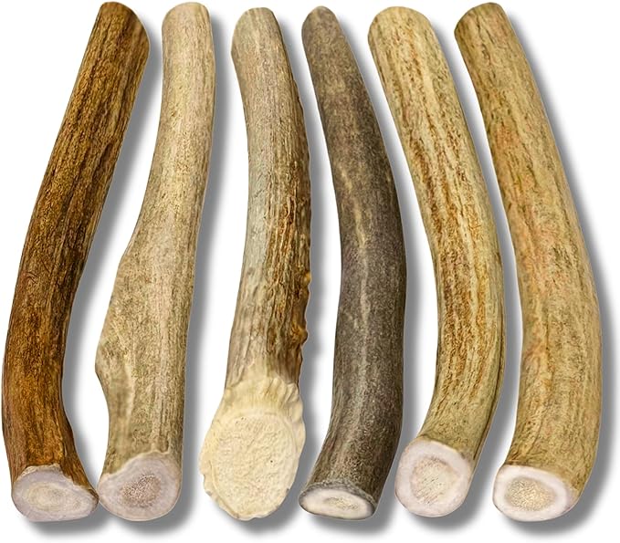 WhiteTail Naturals Antlers for Dogs (6 Pack) Deer Antler Dog Chew Bones for Small Aggressive Chewers - Long Lasting Whole Antlers - Hand Trimmed & Naturally Shed